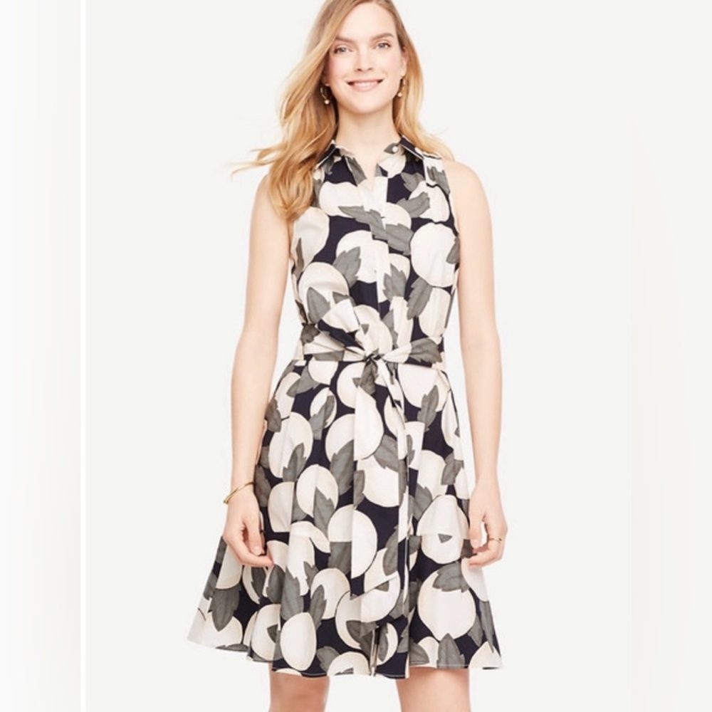 Ann Taylor Orange Blossom Belted Shirtdress